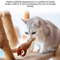 Remote-Controlled Cat's Toy